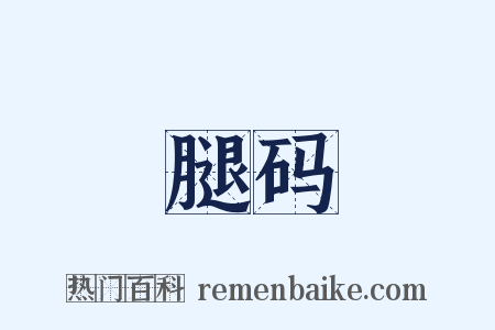 腿码是什么意思的图片